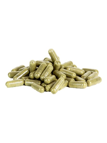 Gélules d'origine végétale (hypromellose) de 375 mg., dont 300 mg. d'Odontella Aurita pure
